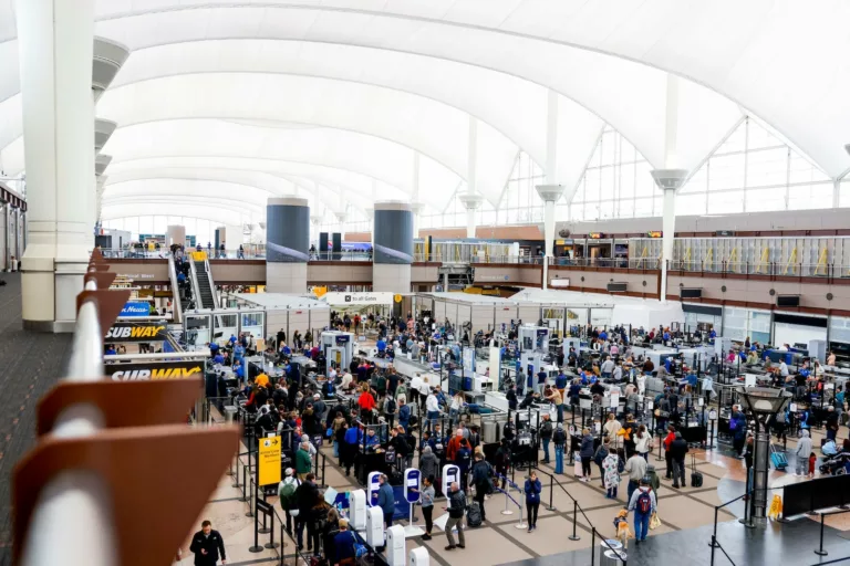 TSA PreCheck vs. Global Entry: Which Travel Program Suits You?