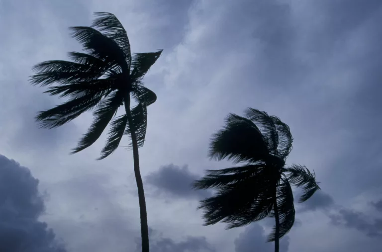 Avoid These Common Travel Mistakes During Hurricane Season