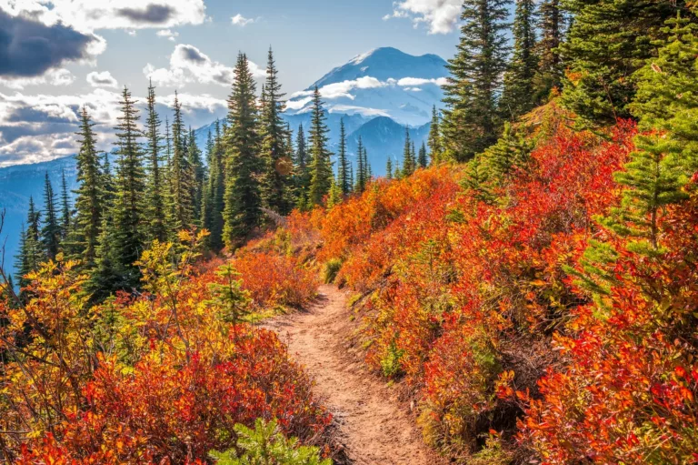 Discover Stunning Fall Foliage Destinations Across the U.S.