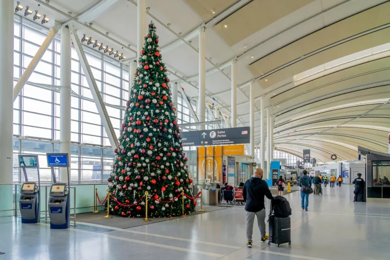 Holiday Travel 2025: Best Times to Book Flights Home