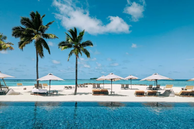 Maximizing Your Chase Points: When to Transfer vs. Book Hotels